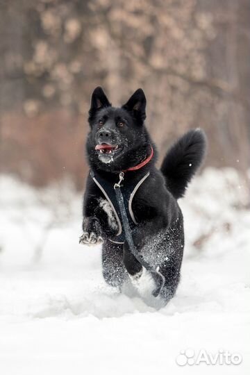Прага ищет семью