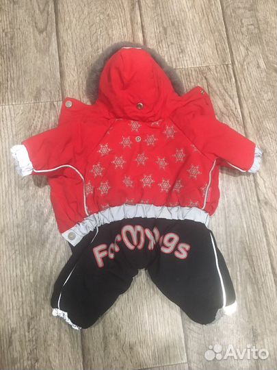 Одежда для собак