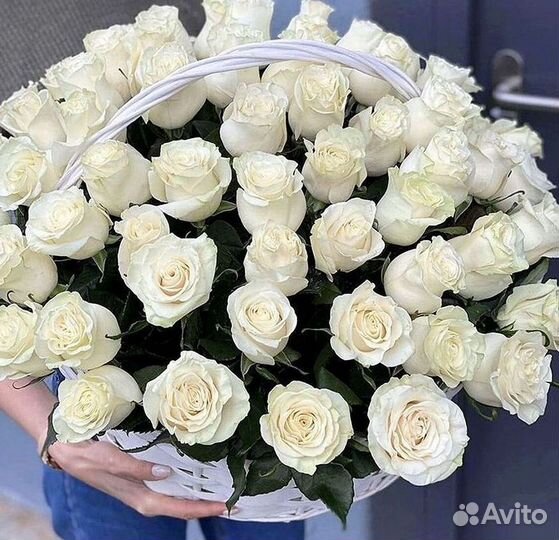 Высокие Розы Гиганты Доставка Круглосуточно