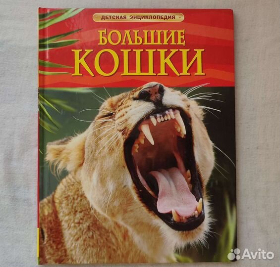 Книги для детей