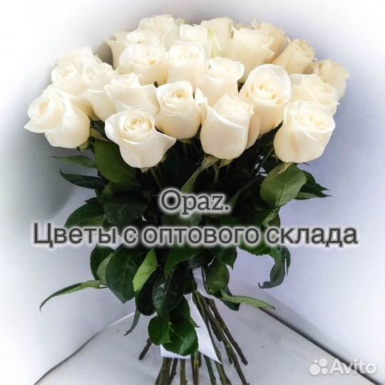 Роза цветы букет доставка