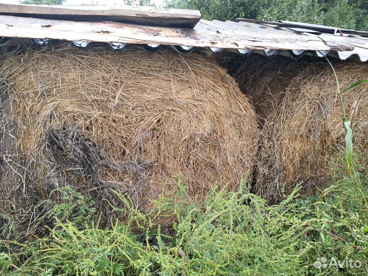 Продаю сено люцерны, разнотравие и солому