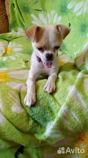 Чудесная крошка, девочка