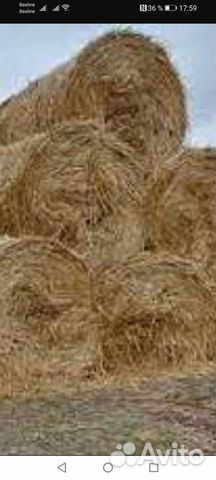 Солома и сено в круглых рулонах
