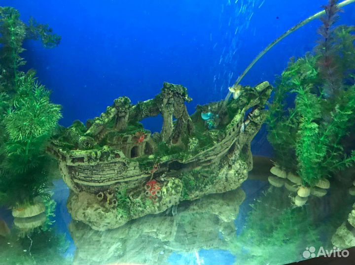 Продам аквариум