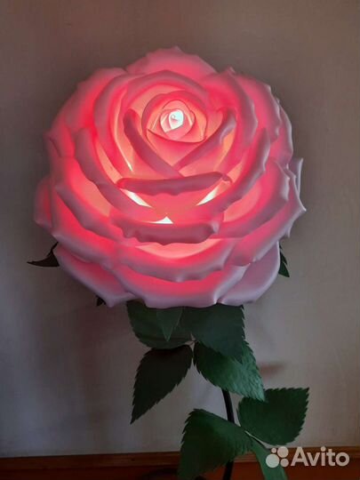 Цветы для интерьера