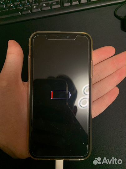 iPhone X, 256 ГБ