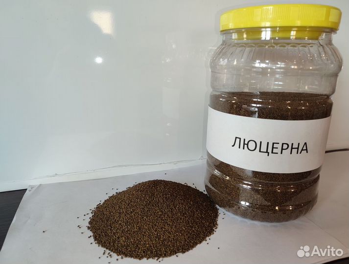 Семена люцерны