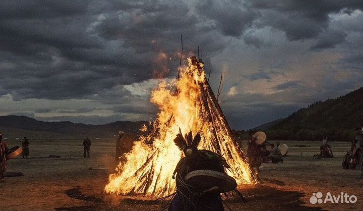 Чай пуэр « На замену пива » шмн10189