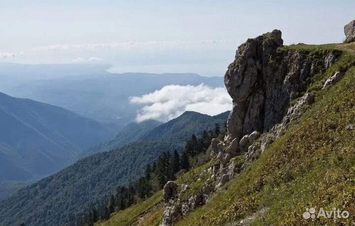 Тур в р. Абхазию 7 ночей