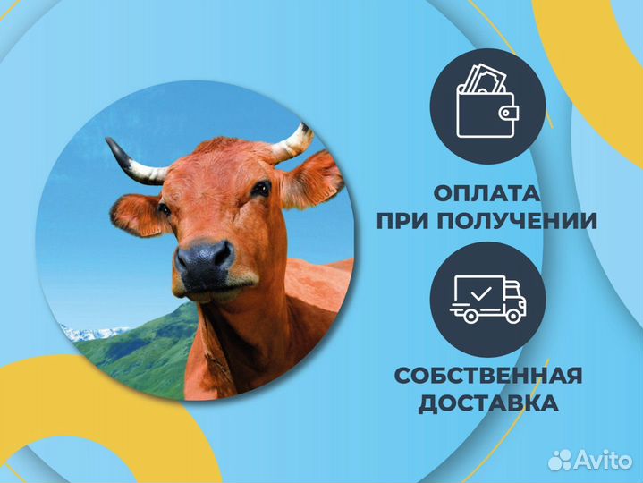 Зерносмесь - 5 видов зерна