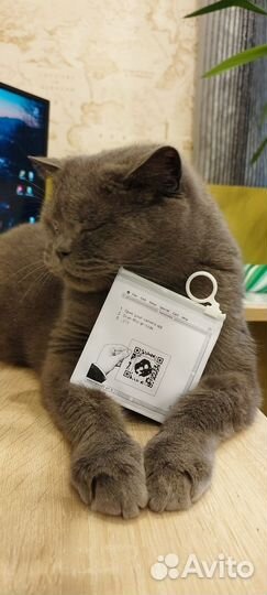 Стикеры Solutions для Кирюши)