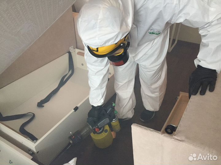 Уничтожение тараканов, клопов. Дезинфекция
