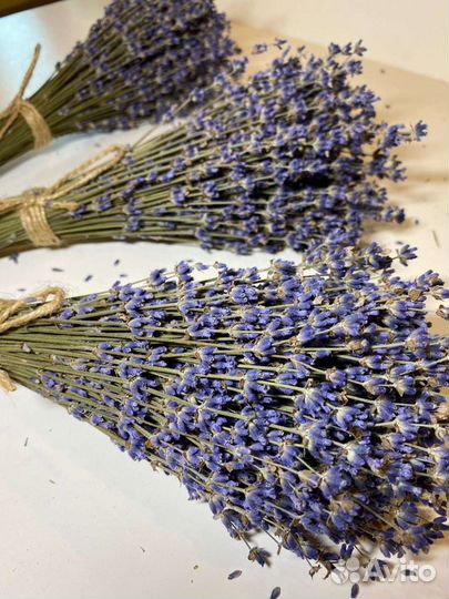 Букеты Лаванды возможна доставка