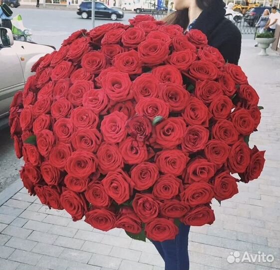Роза эквадор оптом