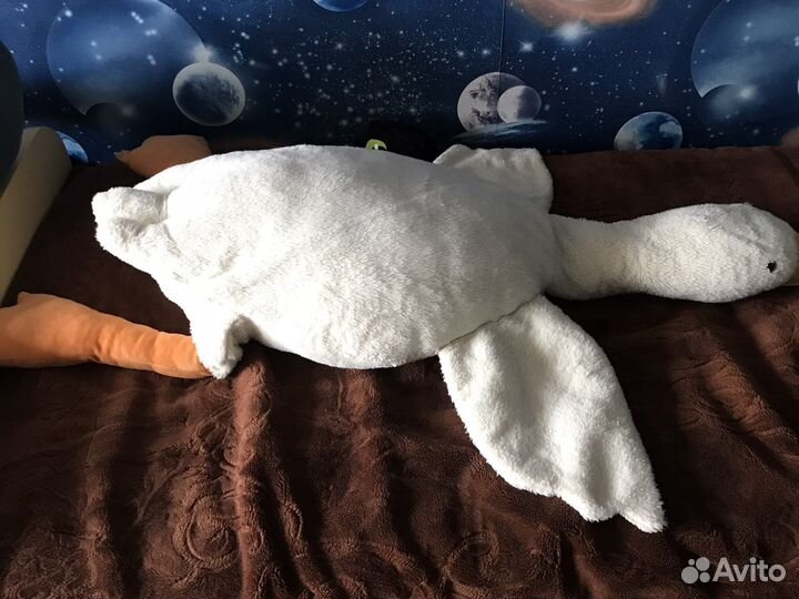 Акула и гусь