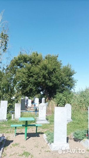 Спил деревьев