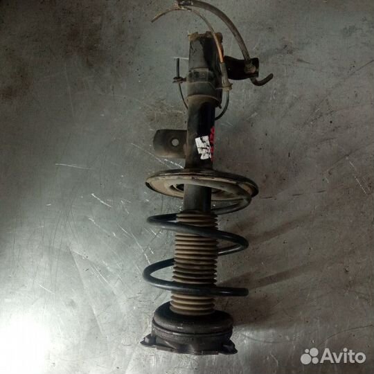 Амортизатор передний правый Nissan Teana L33