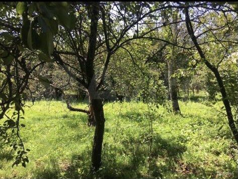 Участок 12 сот. (ИЖС)