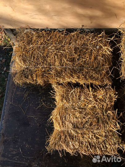 Сено в тюках для Декора, Животных и Мульчирования