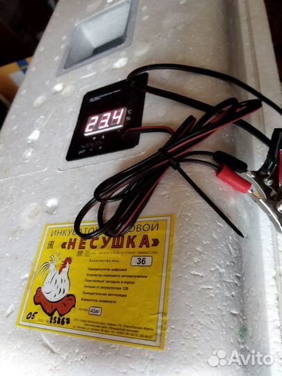 Инкубатор несушка