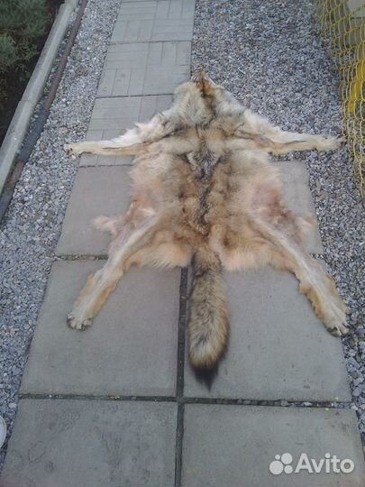 Выделка шкур