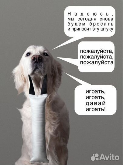 Игрушки для собак