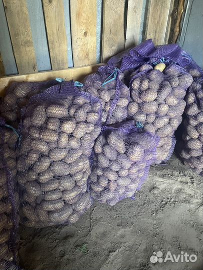 Картофель деревенский