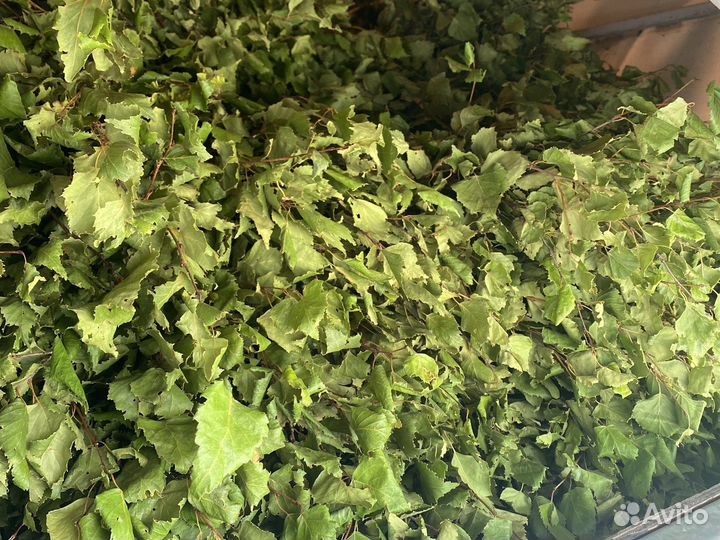 Березовые веники сухие