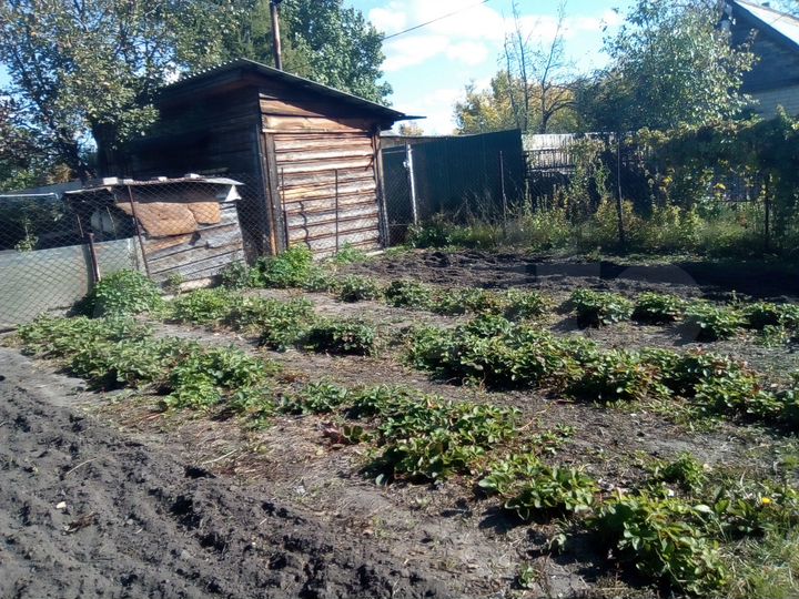 Участок 6,3 сот. (СНТ, ДНП)