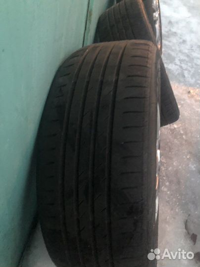 Колёса лето 195 55 r15 Рио салярис