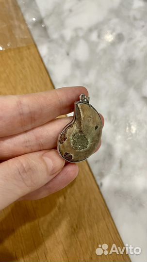 Аммонит подвеска