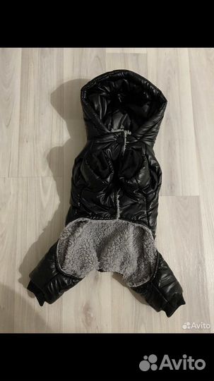 Комбинезон для небольшой собачки