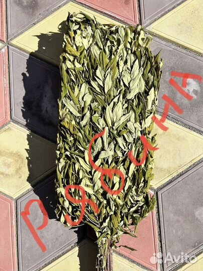 Банные веники