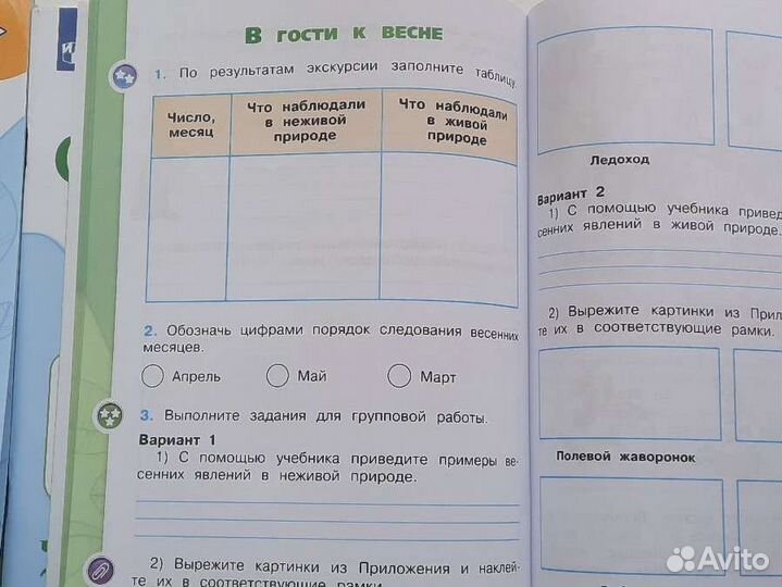 Рабочие тетради по окружающему миру 2 класс