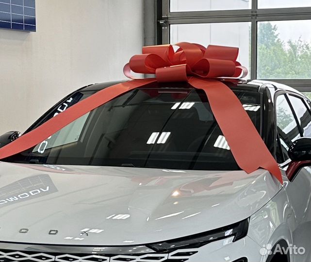 Бант большой на машину