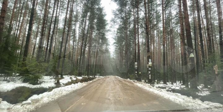 Участок 6 сот. (СНТ, ДНП)