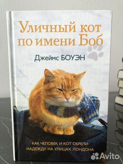 Уличный кот по имени Боб