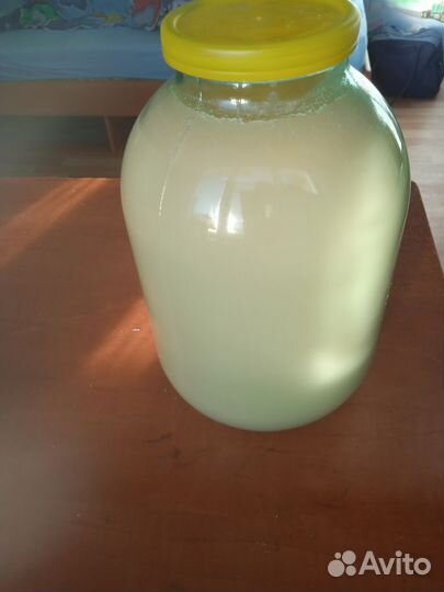 Мёд Рапсовый