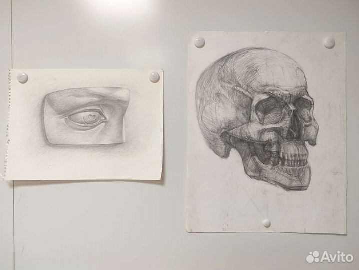 Академический рисунок бесплатно