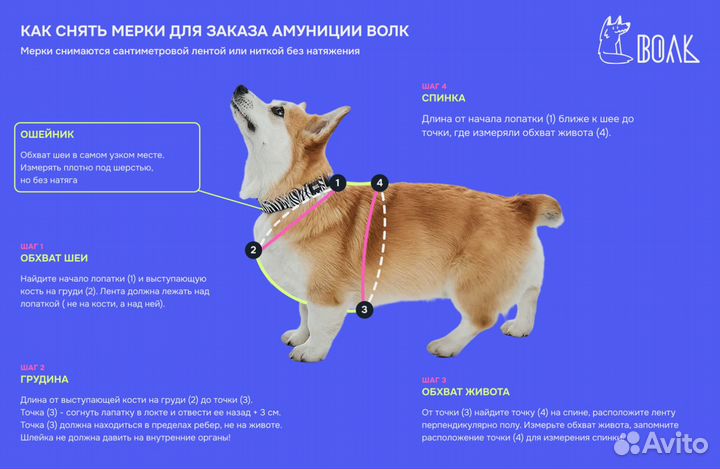 Шлейка для собак Калифорнийский Олдскул