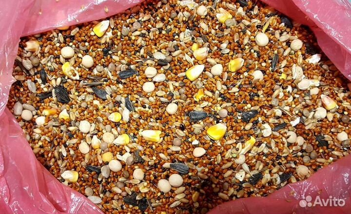 Зерносмесь