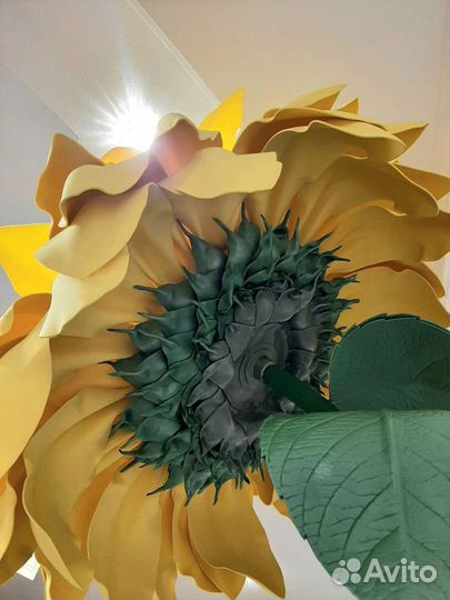 Интерьерные цветы