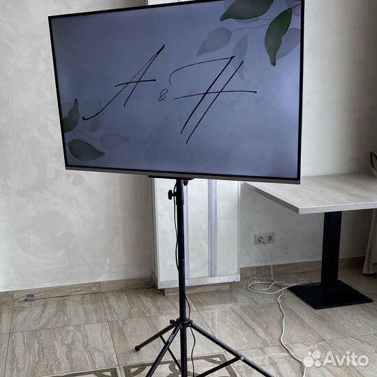 Аренда плазмы экрана