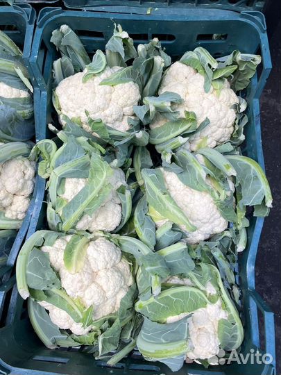 Овощи фрукты 1-2 сорт