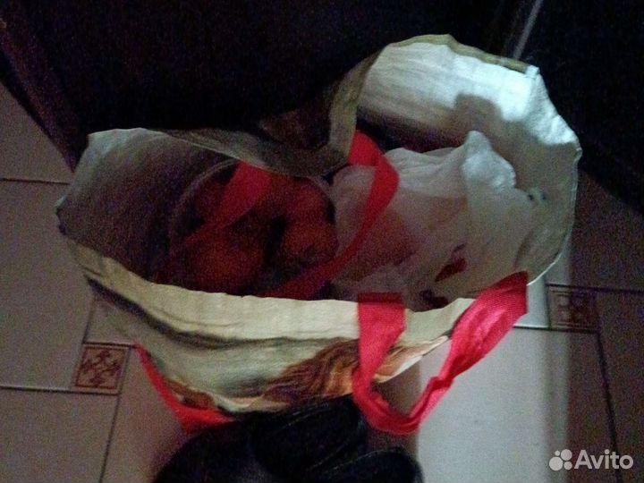 Детские вещи и обувь на девочку 2-4 года, пакетом