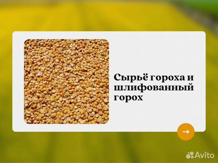 Горох с поля (сырье) (кг)