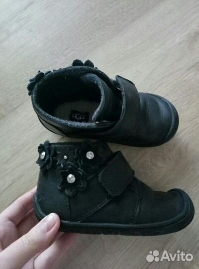 Полусапожки ugg