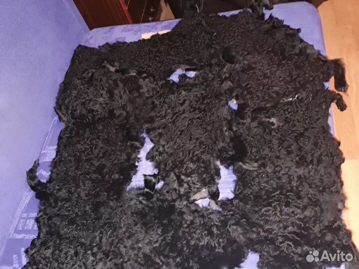 Шкурки каракуля