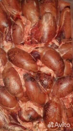 Корм для собак